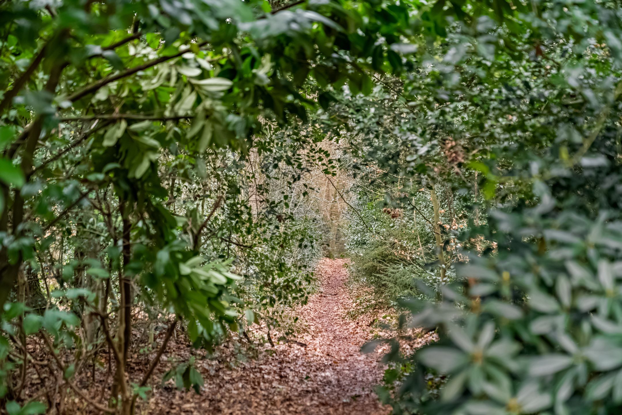 Foto 30 van Surinamelaan 97-B