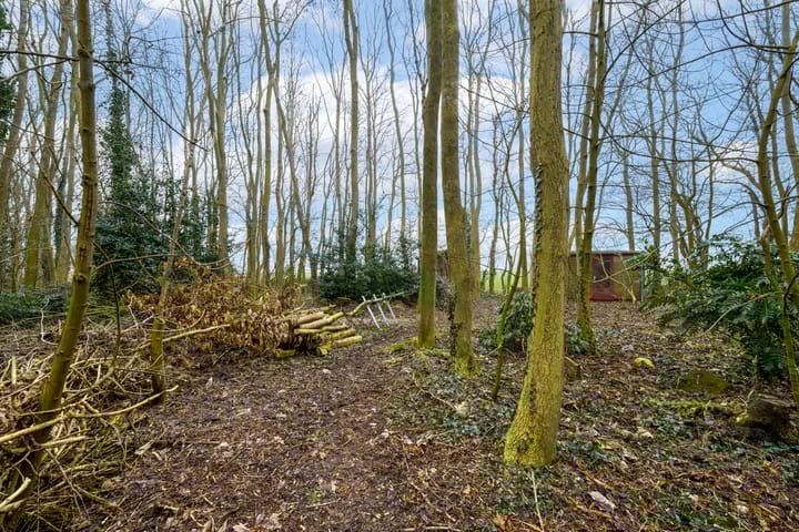 Foto 47 van Hoofdweg 68