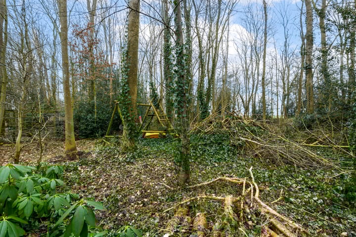 Foto 50 van Hoofdweg 68