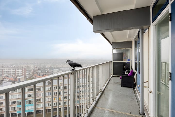 Photo 4 of Volendamlaan 872