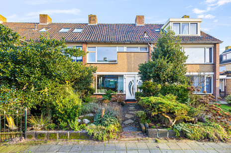 Dennenstraat thumbnail