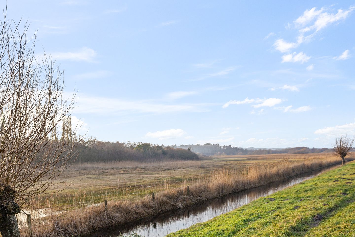 Foto 40 van Dennenstraat 41