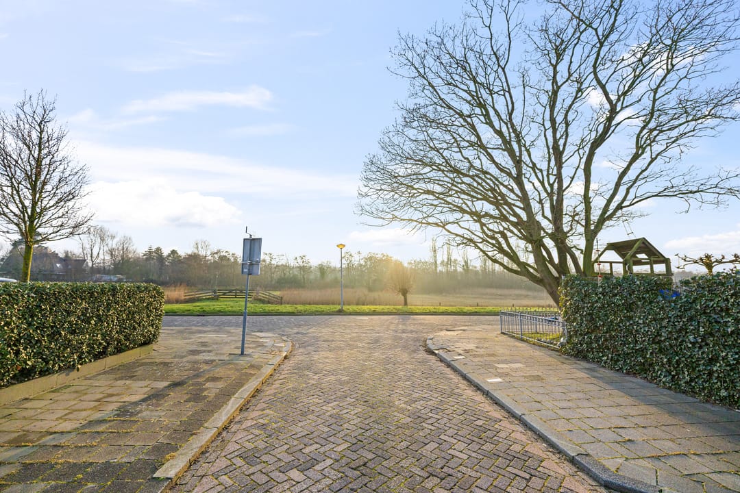 Foto 41 van Dennenstraat 41