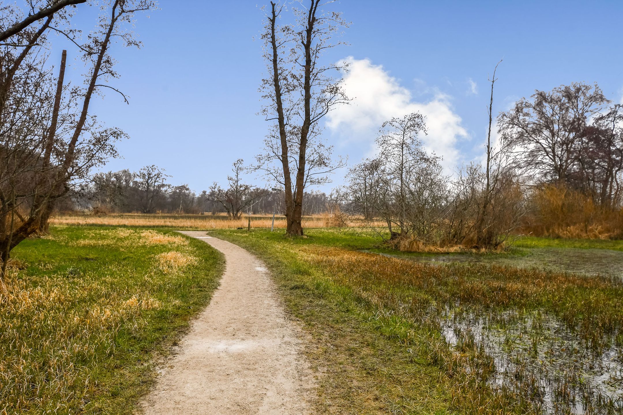Photo 33 of Legmeerdijk 34