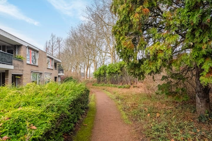 Foto 33 van Schokker 26