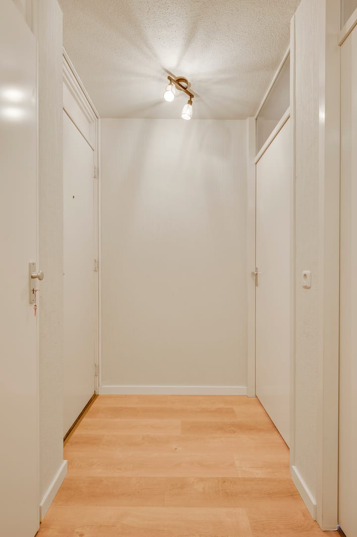 Photo 7 of Erasmusdomein 33-C