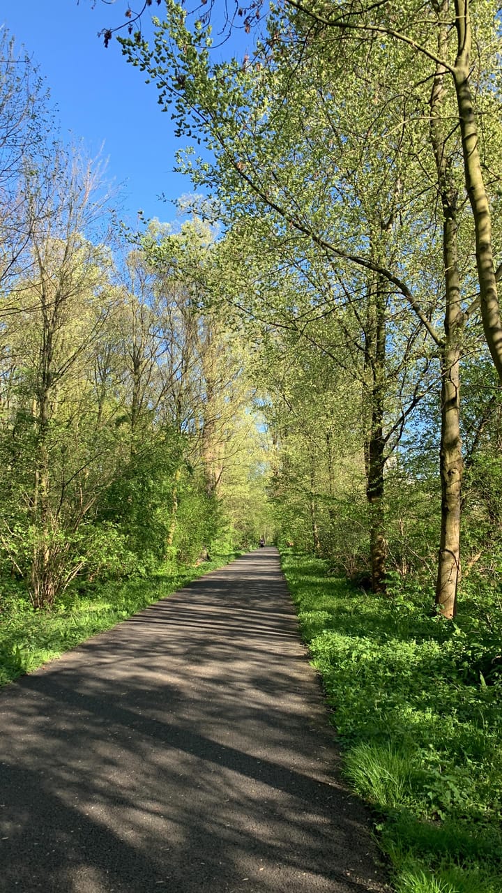 Photo 31 of Zamenhofstraat 82