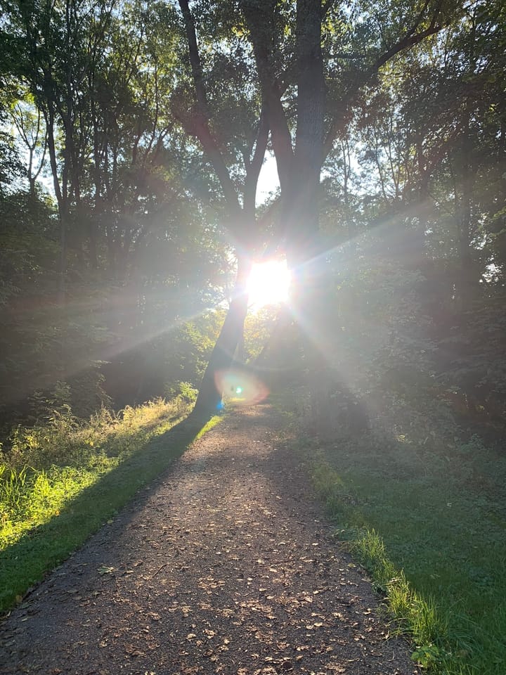 Photo 32 of Zamenhofstraat 82