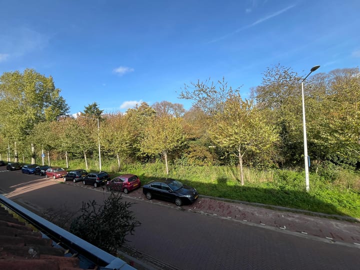 Photo 35 of Zamenhofstraat 82