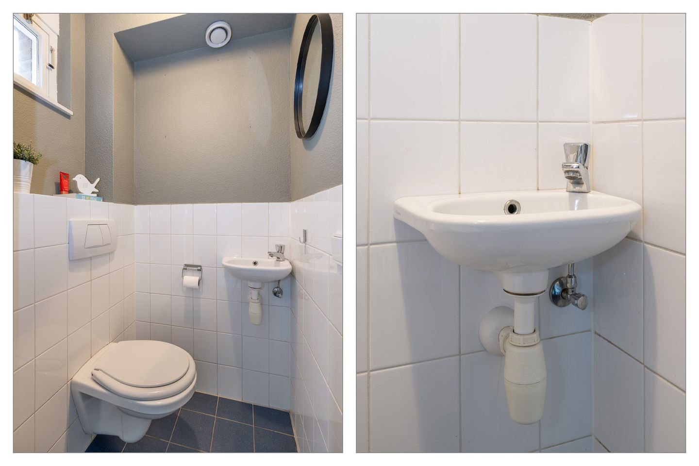 Foto 19 van Watertuin 300