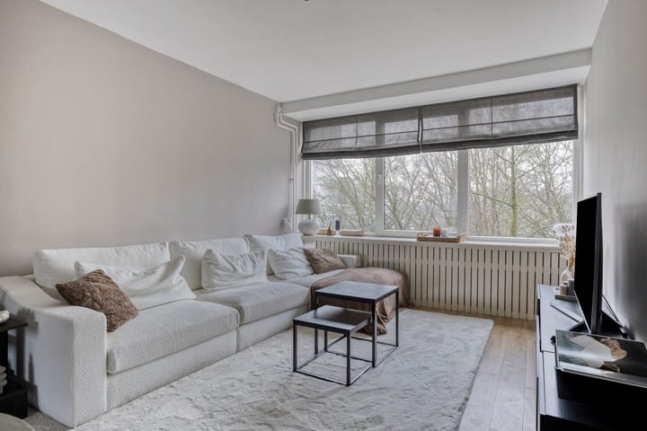 Foto 13 van Professor Cobbenhagenlaan 534