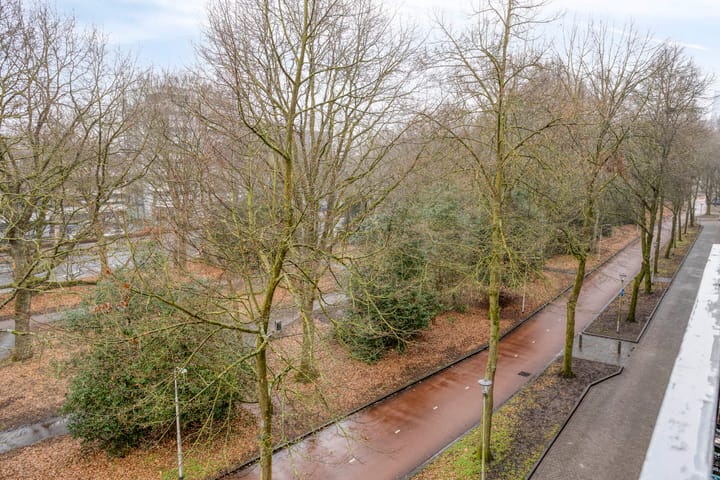 Foto 22 van Professor Cobbenhagenlaan 534