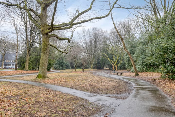 Foto 26 van Professor Cobbenhagenlaan 534