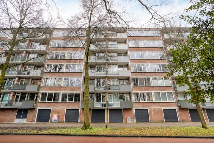 Foto 28 van Professor Cobbenhagenlaan 534