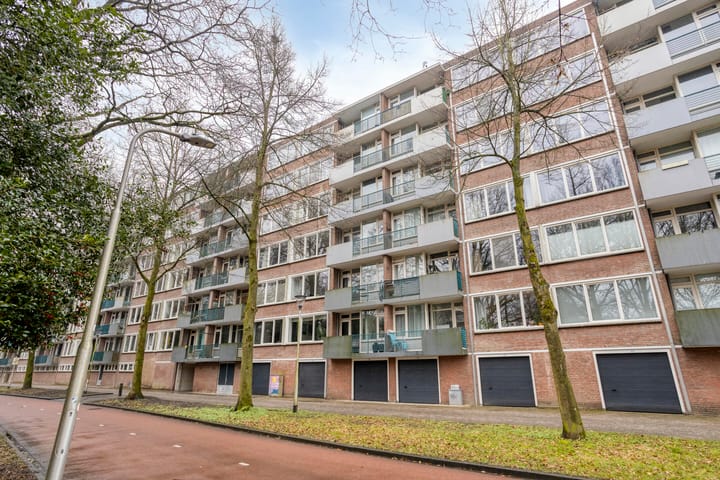 Foto 29 van Professor Cobbenhagenlaan 534