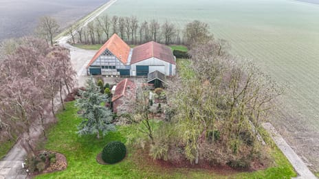 undefined main image