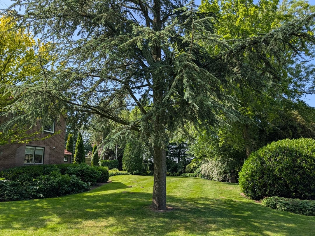 Foto 71 van Johannes Postweg 12