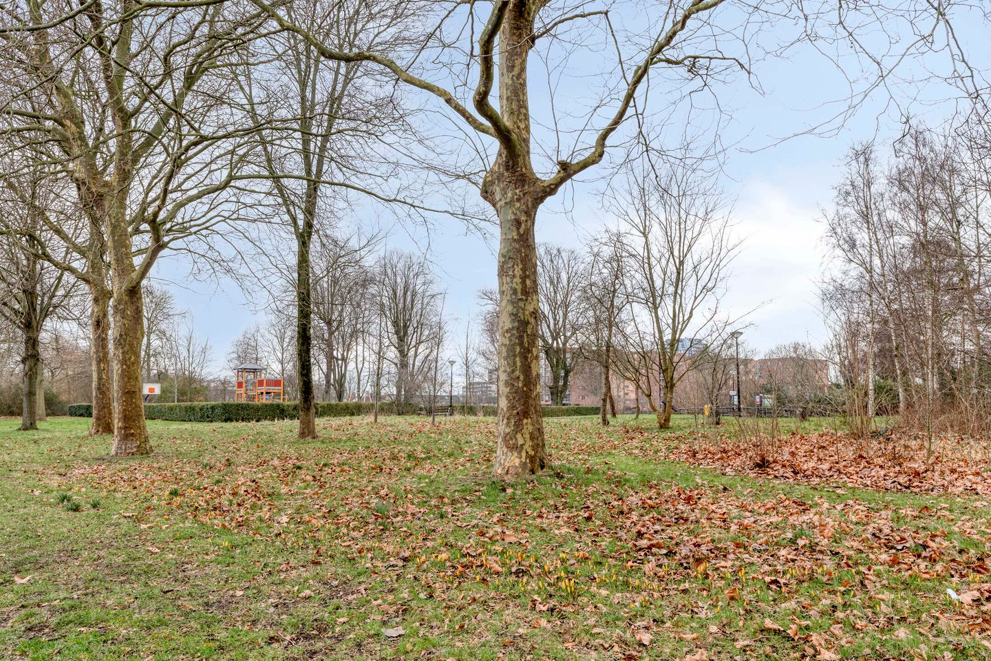 Foto 34 van Lippestraat 7