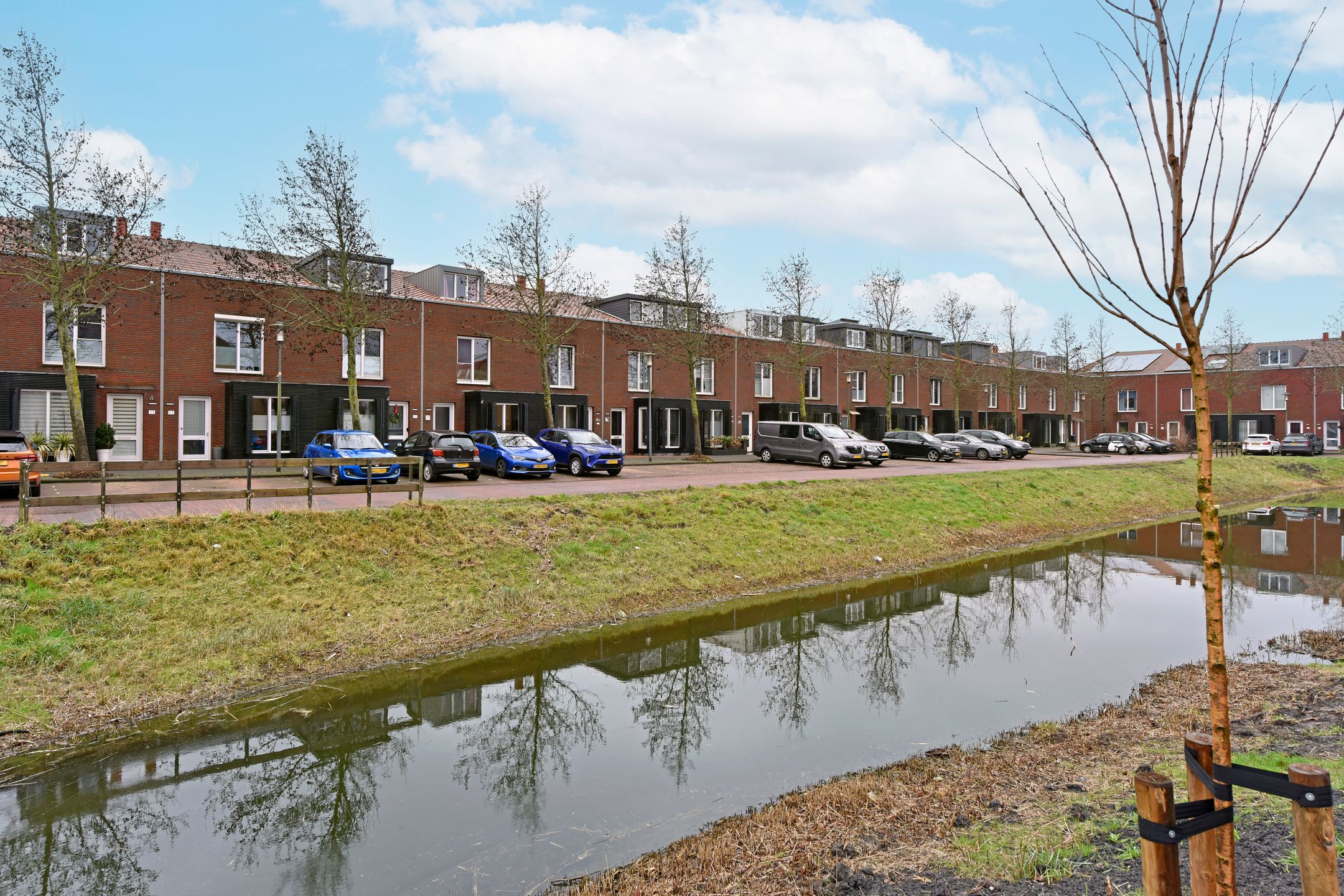 Photo 3 of Rugstreeppad 109