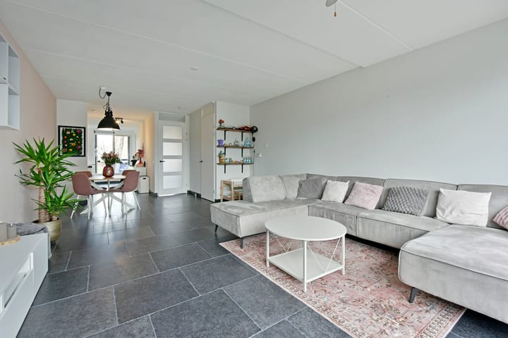 Photo 4 of Rugstreeppad 109