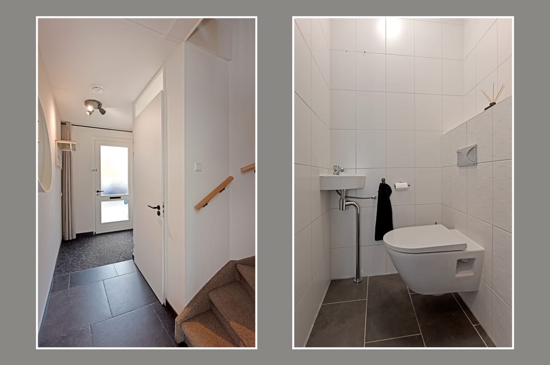 Photo 7 of Rugstreeppad 109