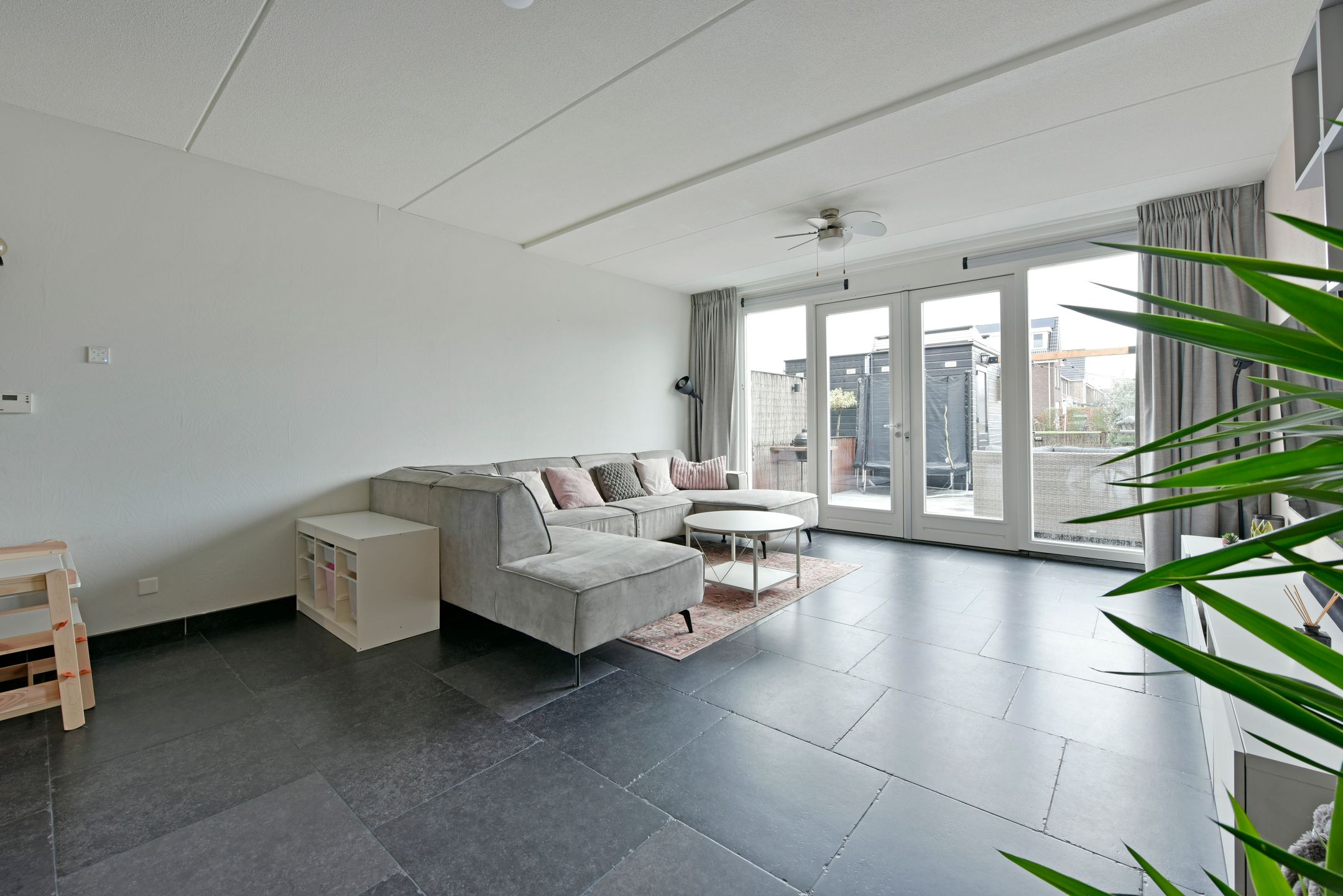 Photo 9 of Rugstreeppad 109