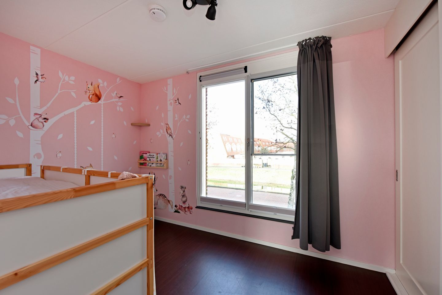 Photo 20 of Rugstreeppad 109