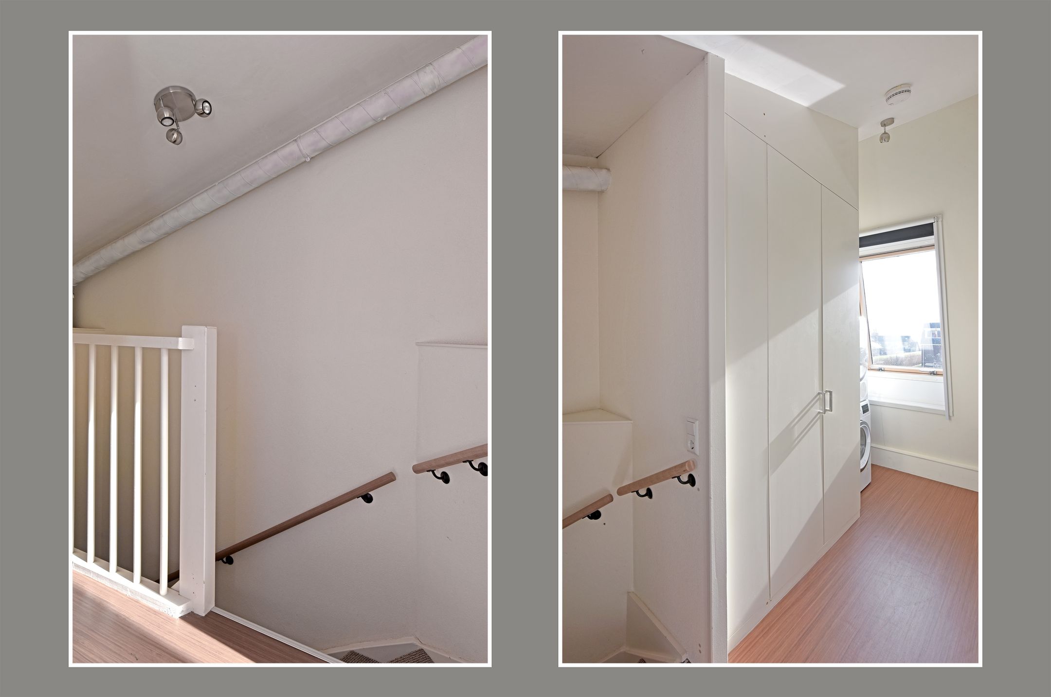 Photo 21 of Rugstreeppad 109