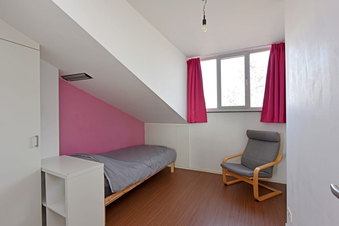 Photo 23 of Rugstreeppad 109