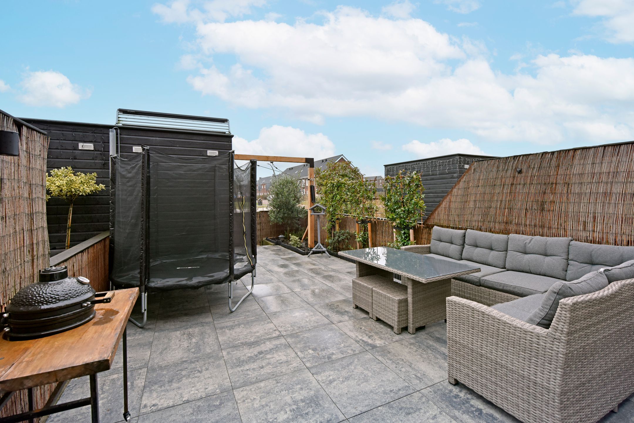 Photo 27 of Rugstreeppad 109