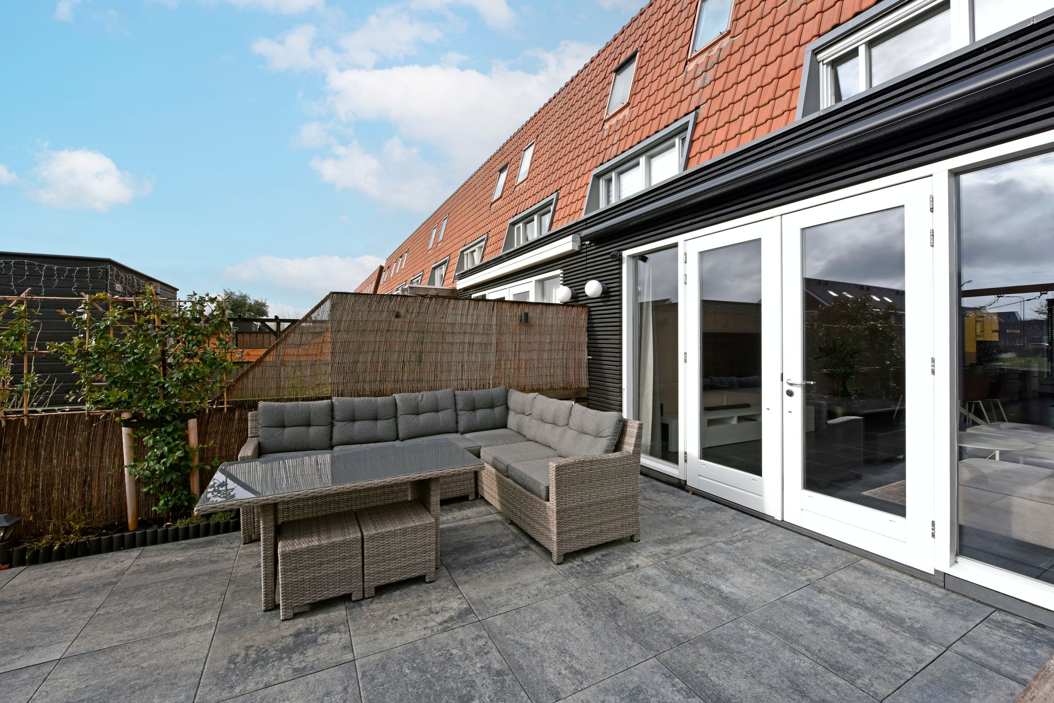 Photo 30 of Rugstreeppad 109