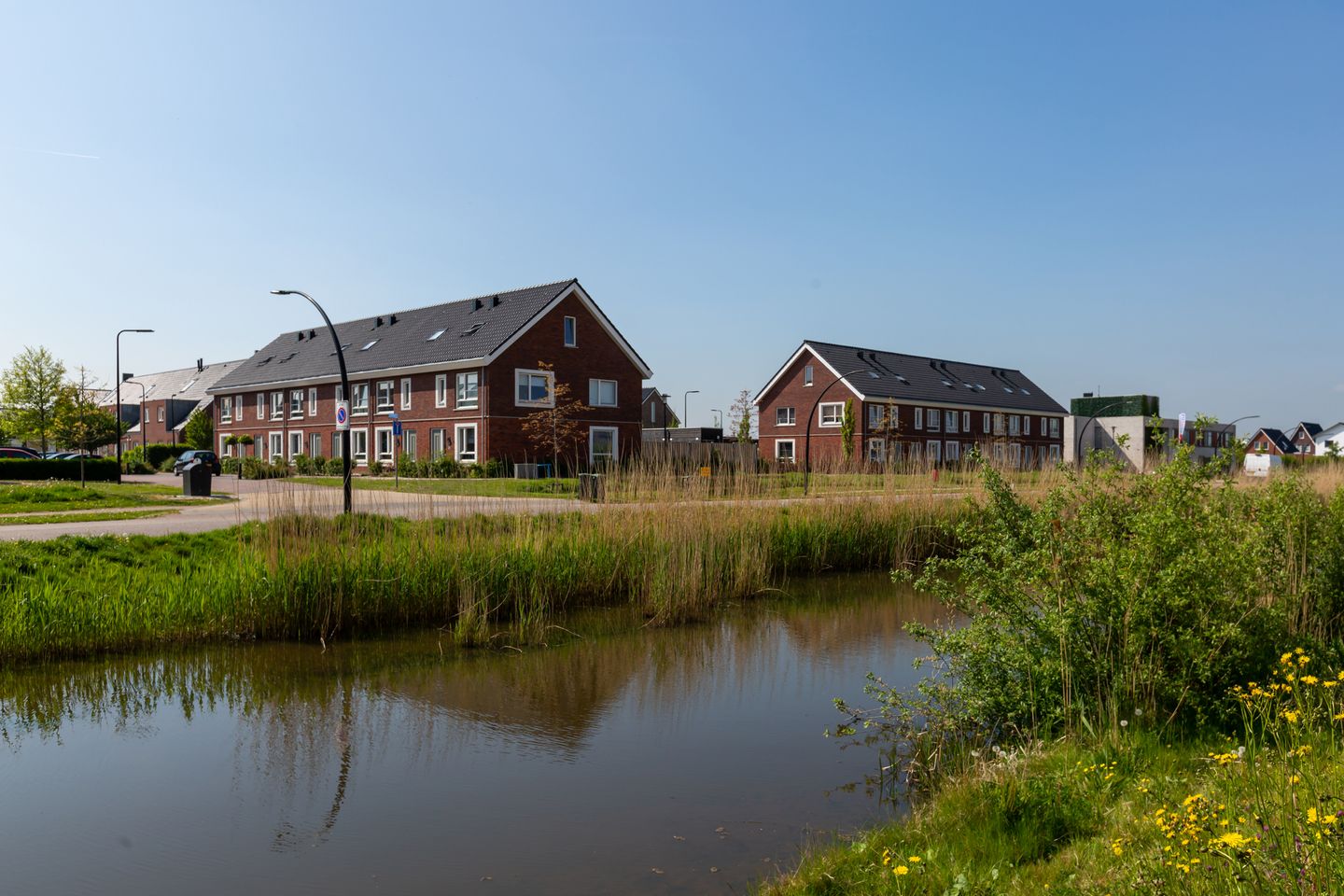 Photo 34 of Rugstreeppad 109