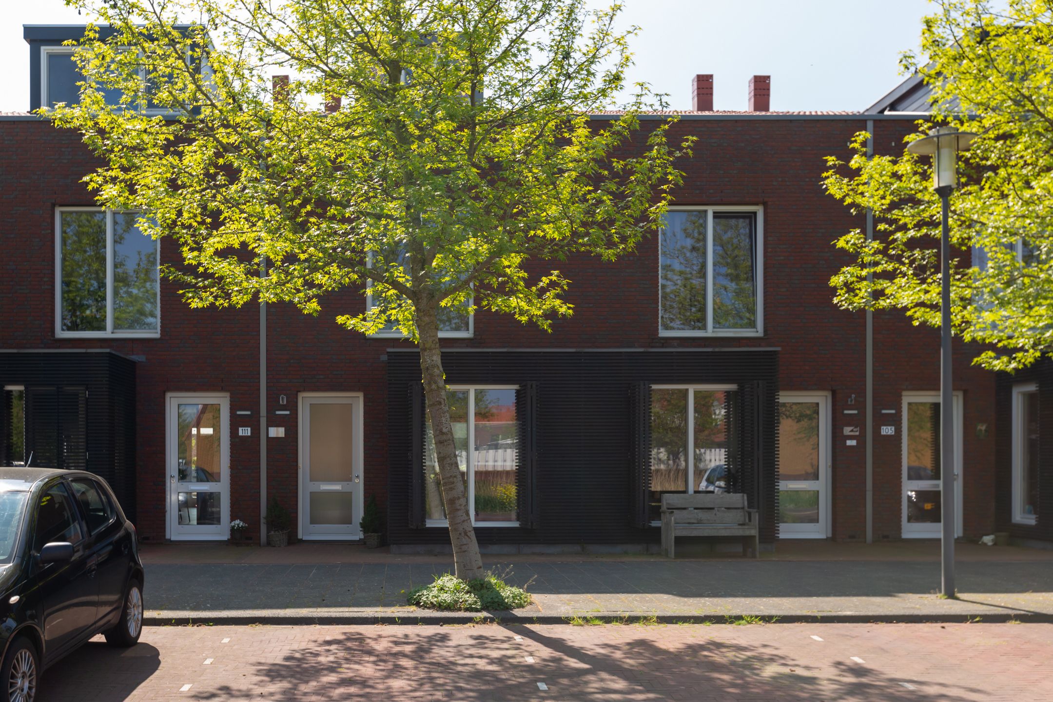 Photo 36 of Rugstreeppad 109