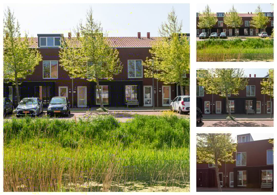 Photo 37 of Rugstreeppad 109