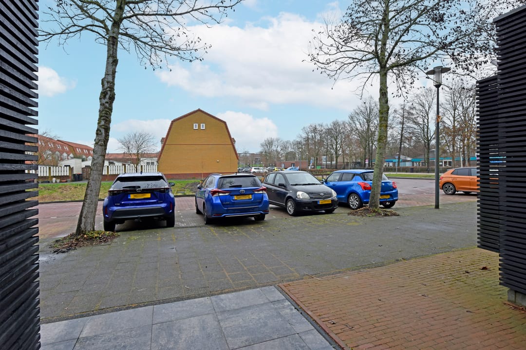 Photo 32 of Rugstreeppad 109