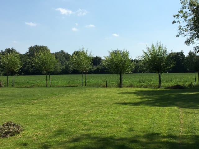 Foto 11 van Viaductweg 19