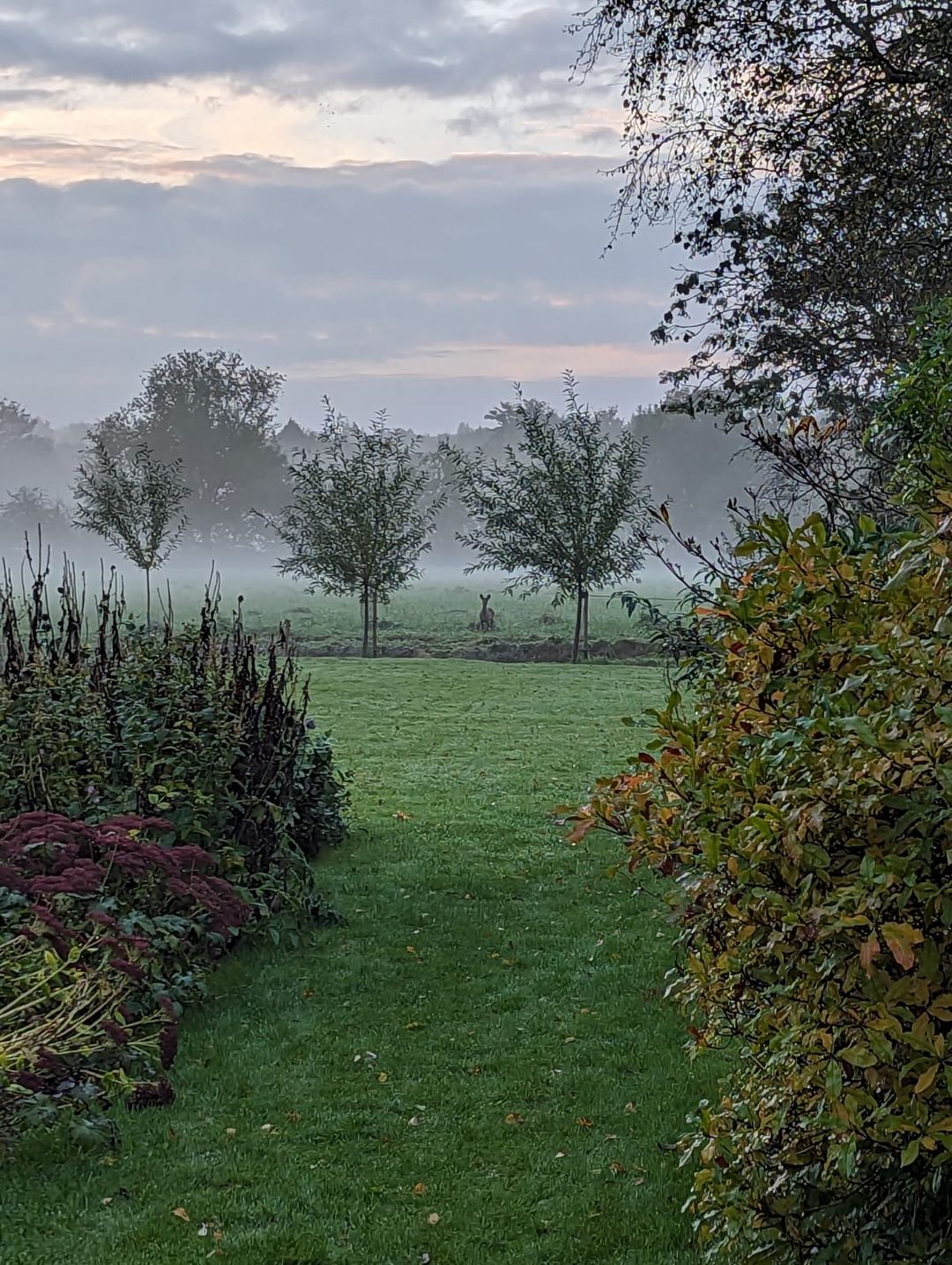 Foto 16 van Viaductweg 19