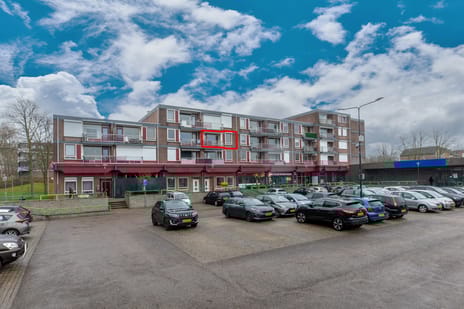 undefined main image