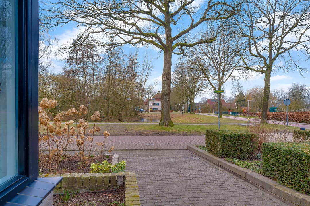 Foto 46 van van der Helststraat 12