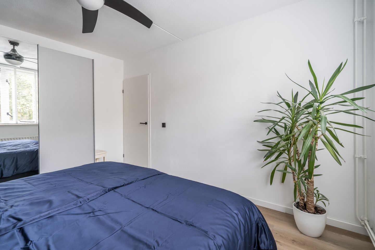 Foto 19 van Bomansstraat 10