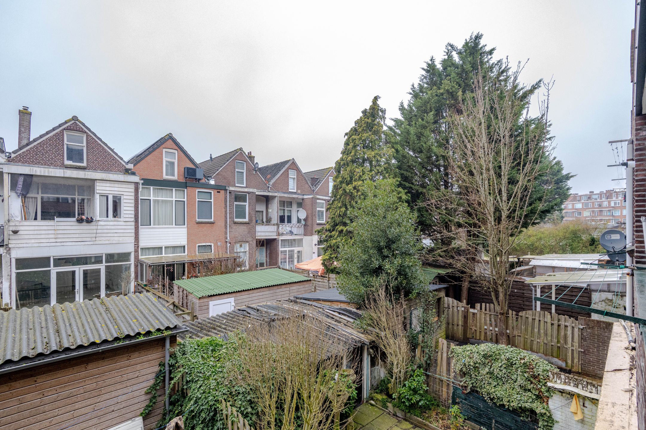 Photo 18 of Texelsestraat 53-B