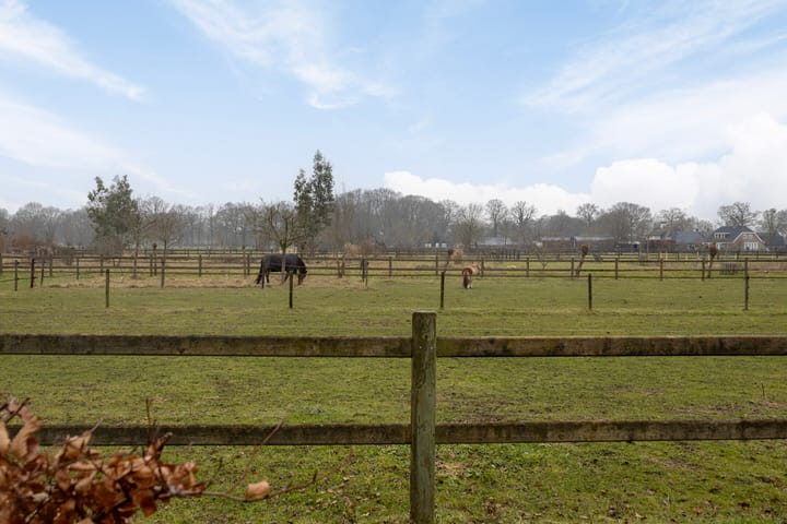 Foto 31 van Sterrennacht 32