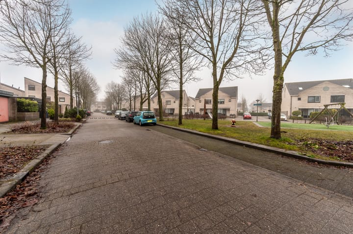 Foto 42 van Esdoornplantsoen 54