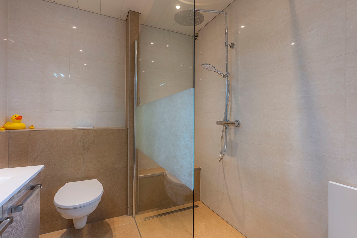 Photo 19 of Platanendreef 51