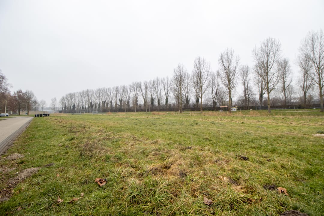 Photo 41 of Jan van Goyenstraat 96