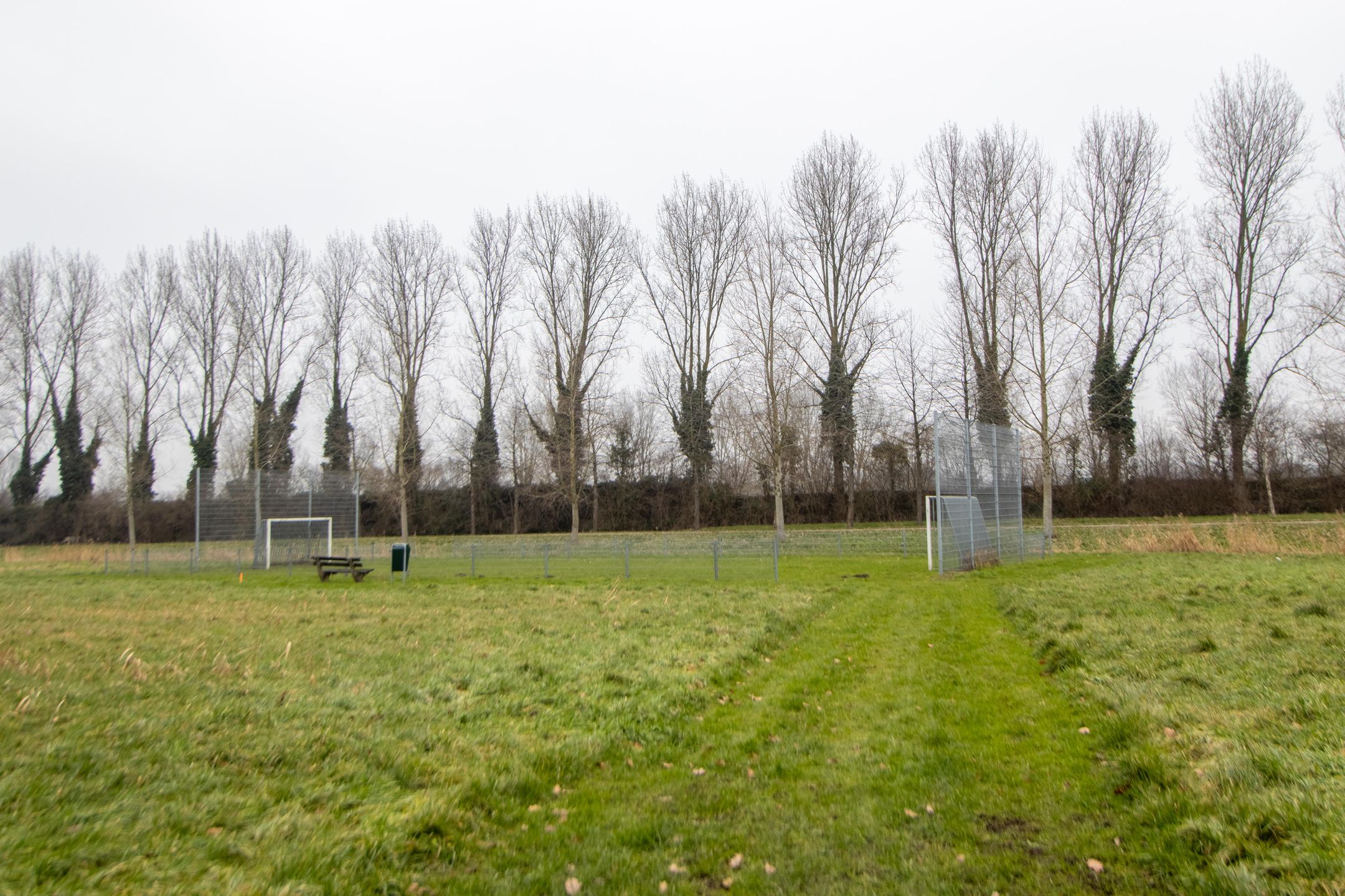 Photo 42 of Jan van Goyenstraat 96