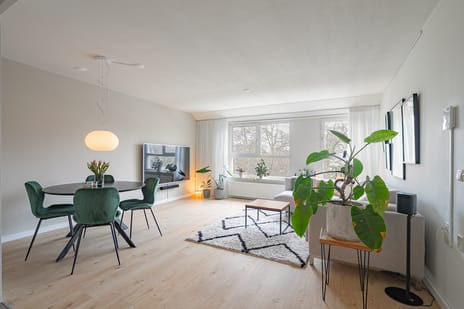 Erasmusdomein thumbnail