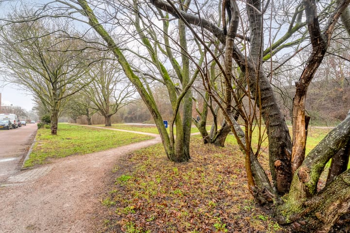 Foto 42 van Ruusbroecstraat 151