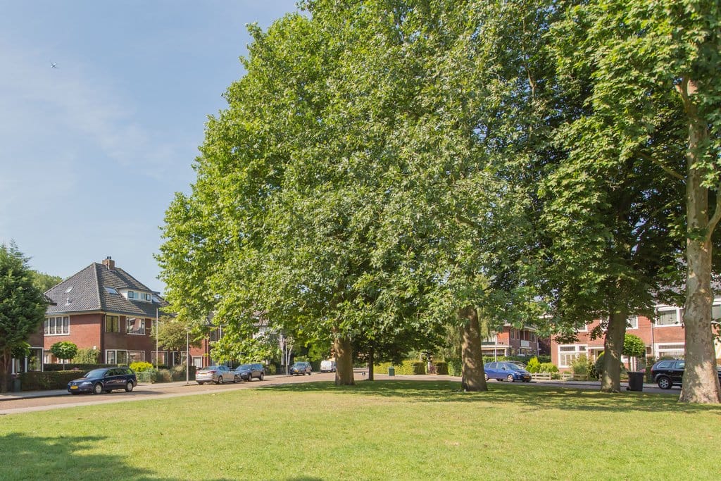 Foto 35 van Zandvoortselaan 51