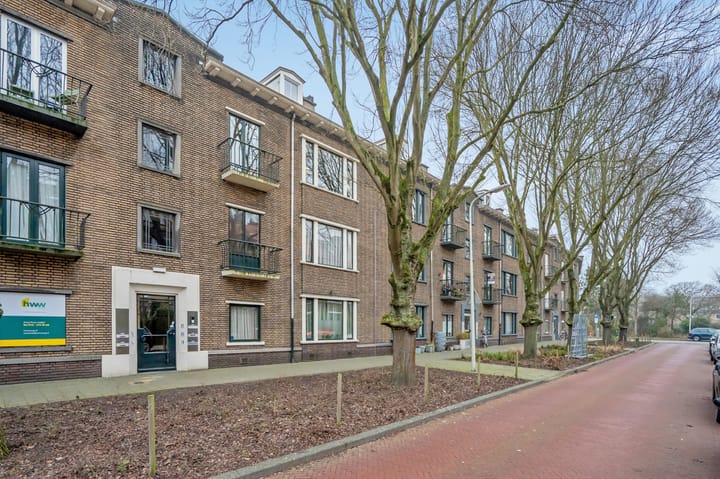 Photo 35 of Arabislaan 82